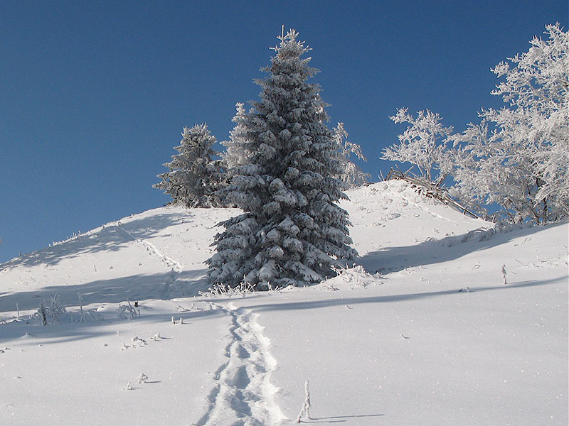 Winterlandschaft